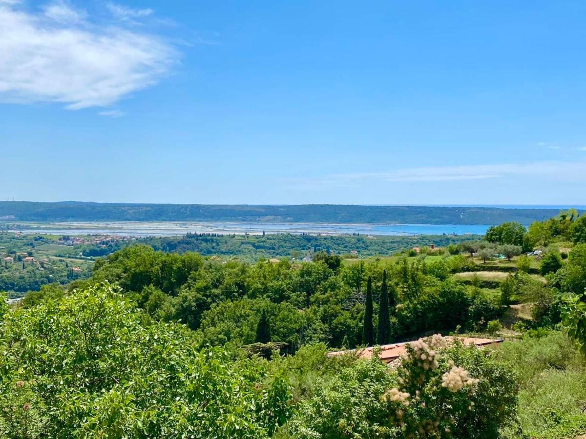 Apartma Hill Portorose Exterior photo